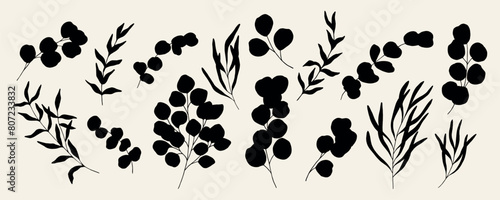 Flat vector eucalyptus branches collection