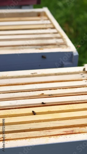 Unrecognizible beekeeper pulls off honeycombs with special instrument. Man works with beesmoker. Video from above. Vertical video photo