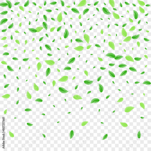 Light Green Plant Background Transparent Vector. Greenery Grow Illustration. Modern Texture. Greenish Subtle Design. Foliage Border.