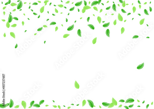 Light Green Leaf Background White Vector. Plant Space Texture. Process Frame. Greenish Fresh Design. Vegetation Drink.