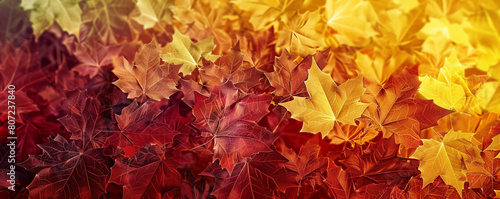 Autumn leaves gradient from golden yellow to deep red in a fall-inspired abstract wireframe cozy  nostalgic