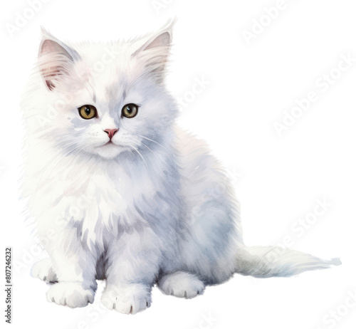 PNG Animal mammal kitten white.