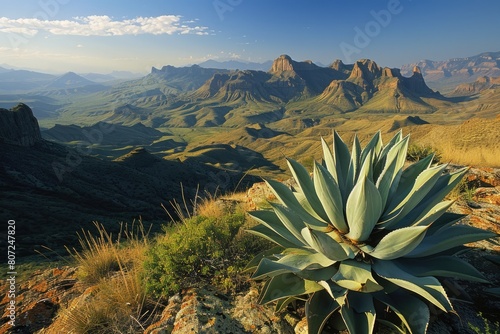 Adventure: Agave Cactus and Chisos Mountains Across Desert in Big Bend photo
