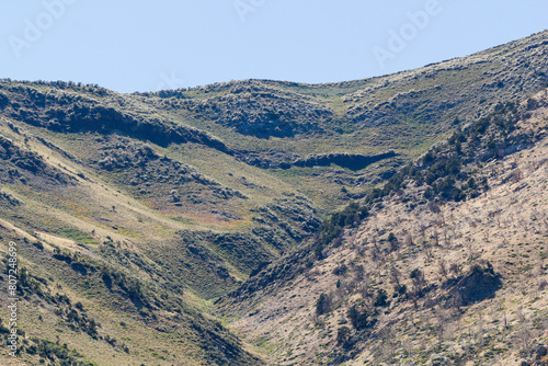 dead trees at a steep hillside of a mountain in the Sierra Nevada, California