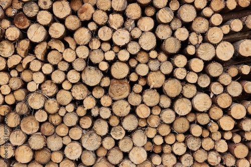 Log wood pile