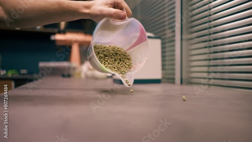 close-up at a coffee roasting factory green coffee is poured onto the table photo
