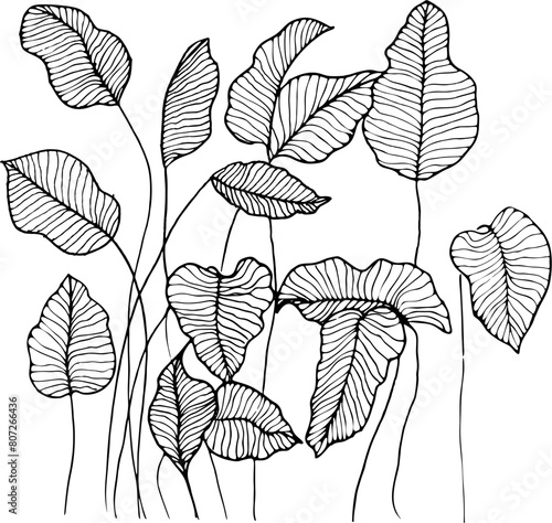 Vector branches and leaves. Hand drawn floral elements. Vintage botanical illustrations