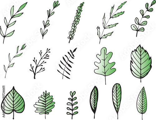 Set od various tree leaves. Vector illustration collection