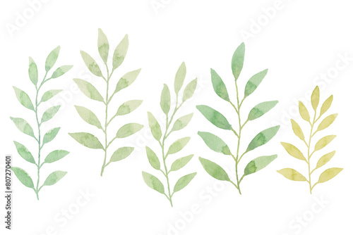 Watercolor leaves illustration set - green leaf branches collection for wedding, greetings, stationary, wallpapers, fashion, background. olive, green leaves, Eucalyptus etc