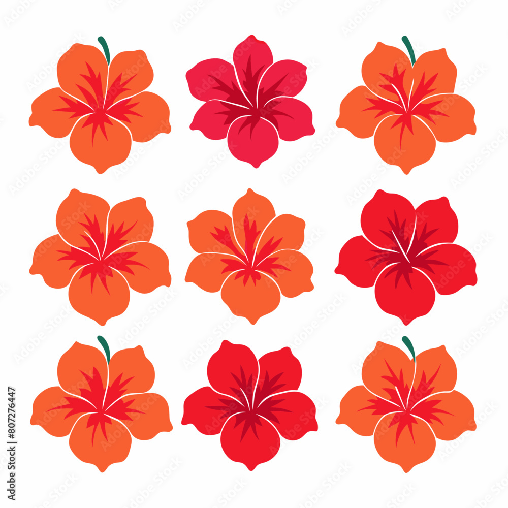 Fototapeta premium minimal Hibiscus flower set vector art illustration (3)