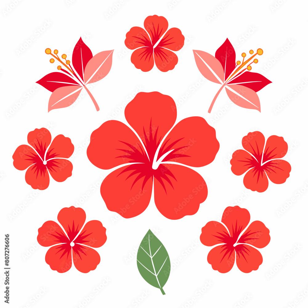 minimal Hibiscus flower set vector art illustration  (23)