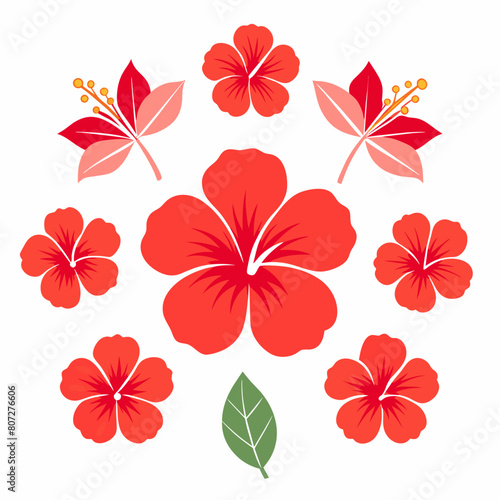 minimal Hibiscus flower set vector art illustration   23 