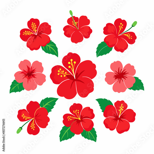 minimal Hibiscus flower set vector art illustration   26 