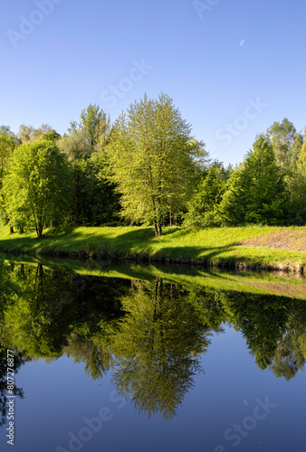 Trees reflecting in the Olza River under a blue sky on a spring day