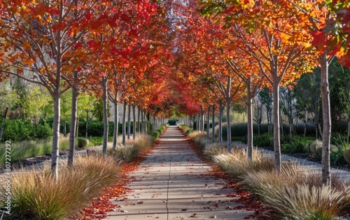 A vibrant autumn pathway lined with fiery red and orange trees.