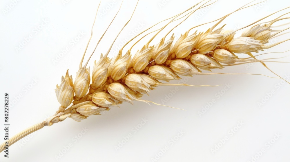 Golden ripe wheat sheaves decorative background Golden ripe wheat sheaves decorative background