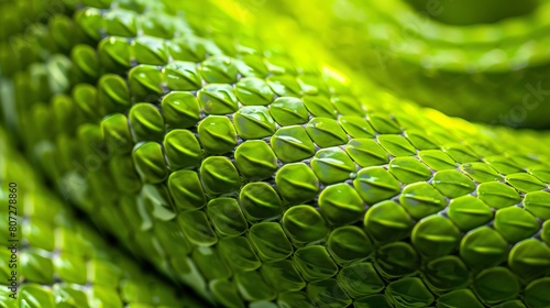 background print green snake skin close up.