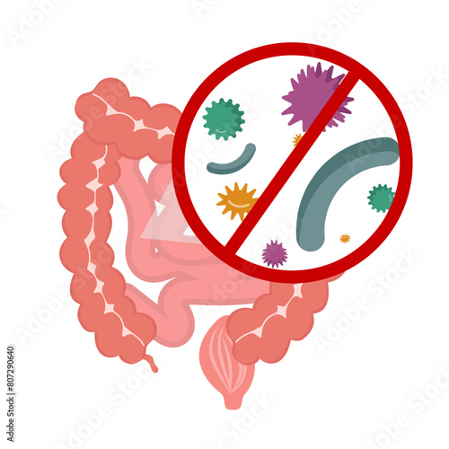 Gut and no bacteria