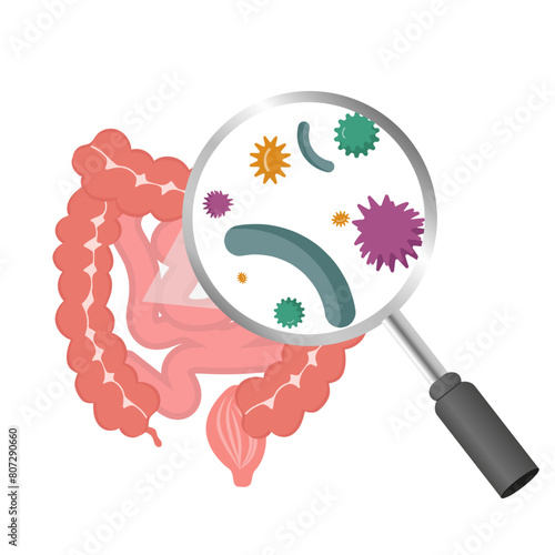 Gut and bacterias zoom