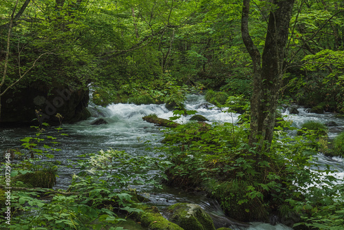 青森 奥入瀬渓流の風景