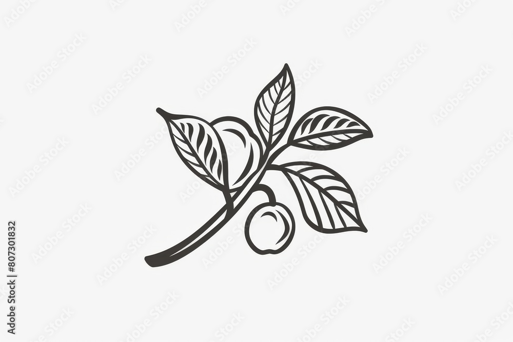 Line art coffee branch logo, coffee bean drawing, coffee plant doodle icon, painting, coffee twig Line art coffee branch logo, coffee bean drawing, coffee plant doodle icon, painting, coffee twig