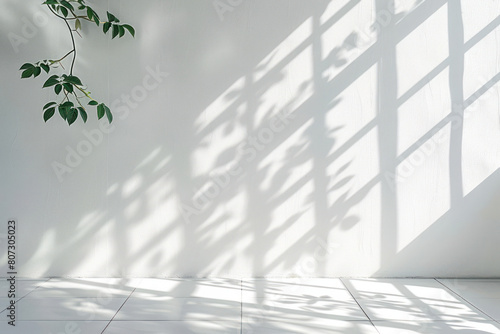 A plant in a white room casting a shadow on the wall
