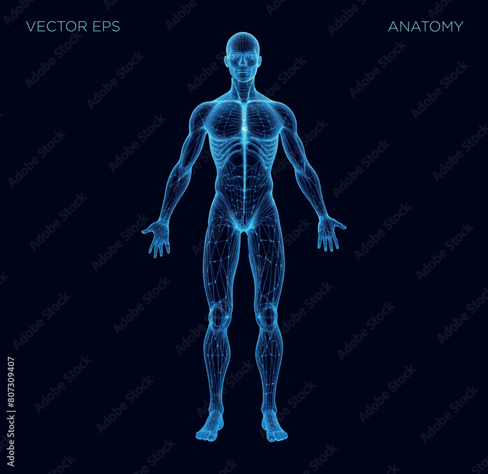 An abstract digital representation of the human body is depicted through a polygonal wireframe silhouette set against a backdrop of vibrant blue. This low-poly anatomy illustration exudes a futuristic An abstract digital representation of the human body is depicted through a polygonal wireframe silhouette set against a backdrop of vibrant blue. This low-poly anatomy illustration exudes a futuristic