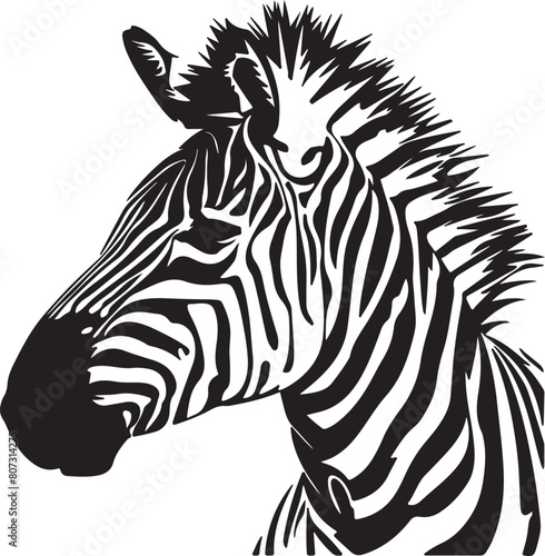 zebra animal vector illustration