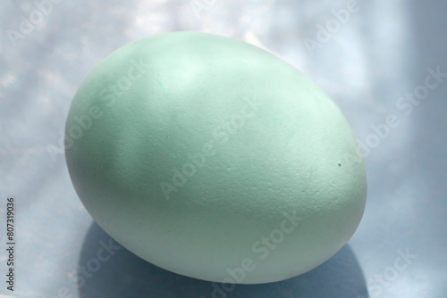 araucana mapuche chicken eggs of Chile  and  they are blue or green photo