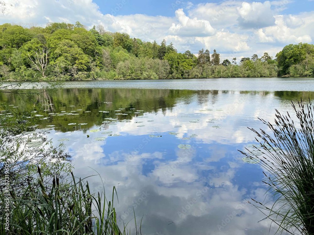 Obraz premium A view of Blakemere Lake near Ellesmere on a sunny day