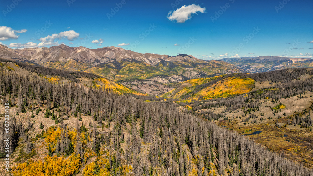 Majestic Mountains and Trees in Silverton, Colorado