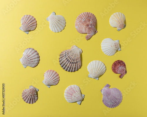Creative seashell pattern on bright yellow background. Summer minimal concept.