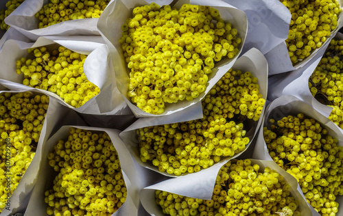 Mimosa bouquets at the market in the Provence, France