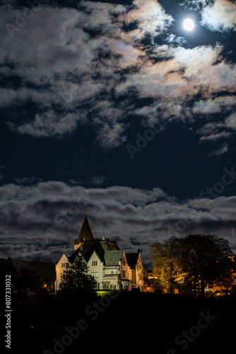 Gamlehaugen Castle in moonlight photo