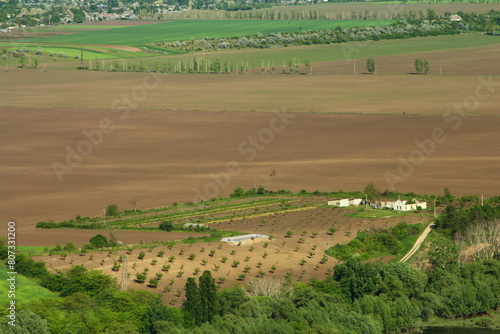 A large field with trees and buildings