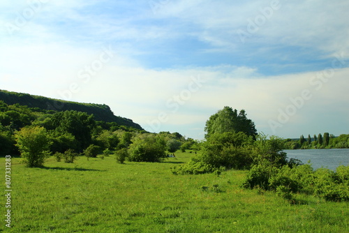 A grassy field with trees and a body of water in the background