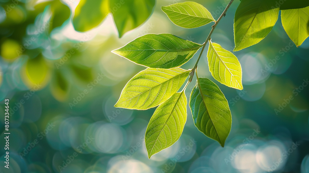 sustainability pattern background, light colours sustainability pattern background, light colours