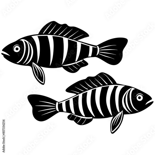 Different Zebra fish mascots vector silhouette 