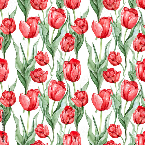 watercolor illustrations of red tulips against a white background  seamless watercolor art  pattern