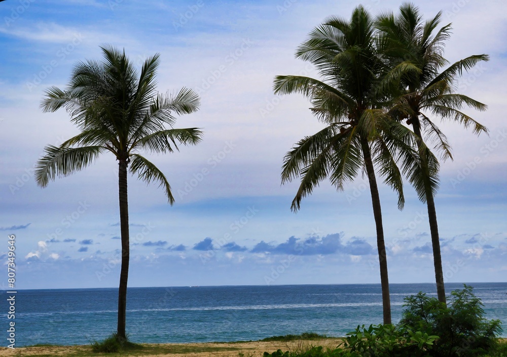 The famous beaches, quiet bays and tropical forests make Phuket the richest, most touristy and most popular among the islands of Southern Thailand The famous beaches, quiet bays and tropical forests make Phuket the richest, most touristy and most popular among the islands of Southern Thailand