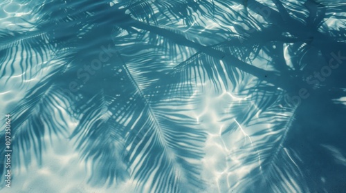 Top View Of Tropical Leaf Shadow On Water Surface. Shadow Of Palm Leaves On White Sand Beach. Beautiful Abstract Background Concept Banner For Summer Vacation At The Beach