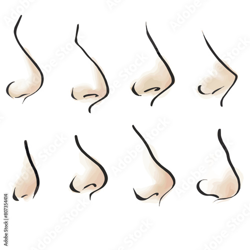 Human nose of different shapes