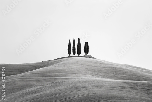 minimalist panorama of the Crete Senesi with some cypresses on the hills, solitude, minimal image