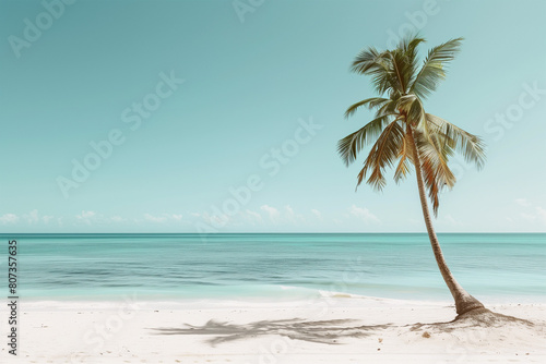 palm tree on the white caribbean sand by the sea, freedom, relaxation, vacation © Stefano
