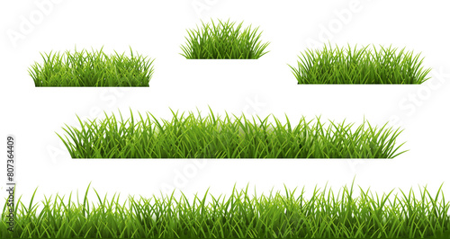 Green Grass Set Isolated White Background