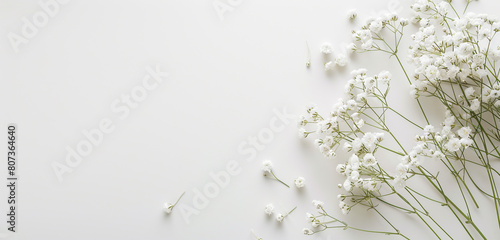 Pure and pristine solid white background  creating a serene setting  ample copy space for heartfelt Mother s Day tributes.