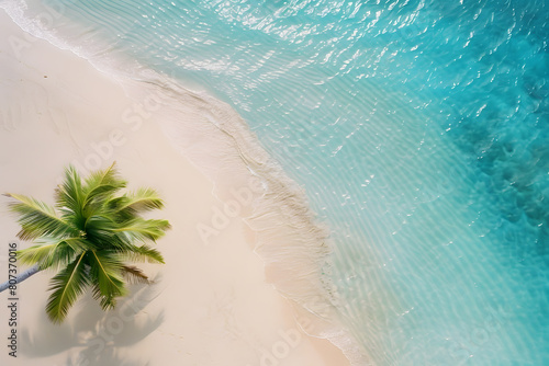 Coastline at tropical beach with palms and turquoise ocean , summertime banner mockup. Summer travel sales and vacation concept.