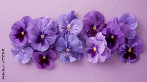 Purple pansies arrangement on monochromatic purple background  flat lay top view floral composition.