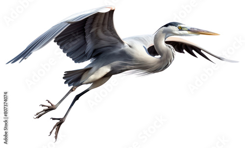 PNG Heron animal flying stork. photo