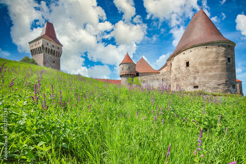 Captivating morning view of Hunyad Castle / Corvin's Castle